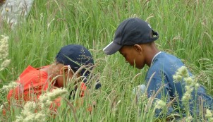 Children looking for bugs in the grass